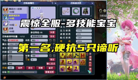 梦幻西游怎么合出多技能宝宝[图2]
