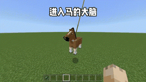 我的世界怎么拴住马[图1]
