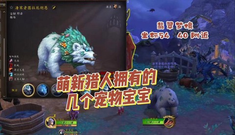 魔兽世界猎人什么宠物好[图2]