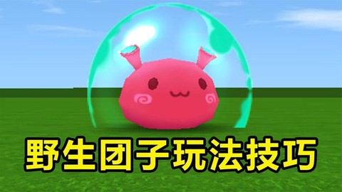 迷你世界怎么训团子[图1]
