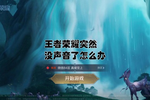 王者荣耀为什么没声音[图2]