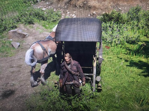 荒野大镖客2什么草[图1]