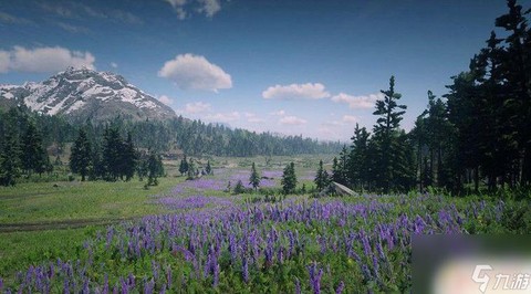 荒野大镖客2什么草[图2]