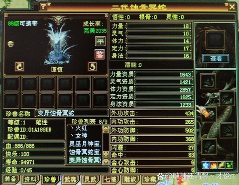 天龙八部3有什么卡[图2]