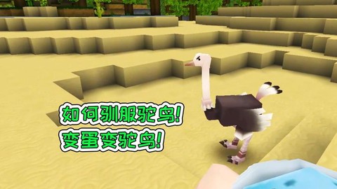 迷你世界野生鸵鸟怎么驯服[图2]