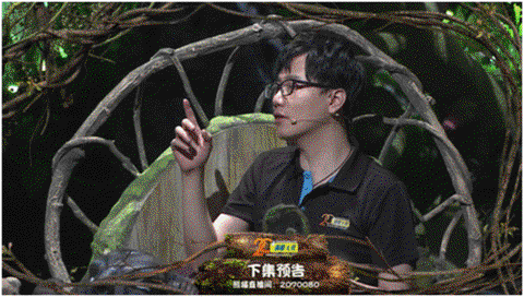 熊猫的狼人杀叫什么[图1]